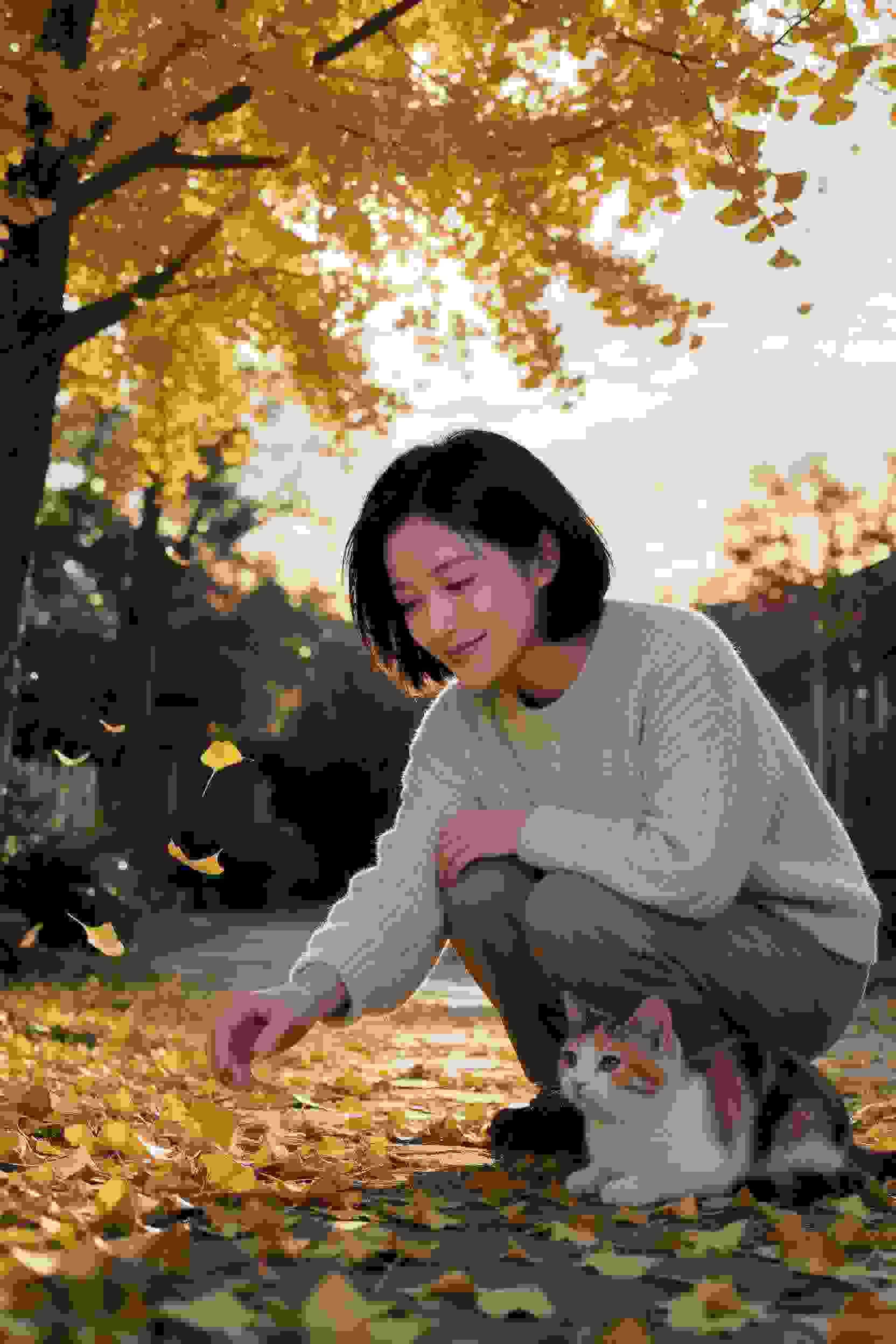 精灵战争